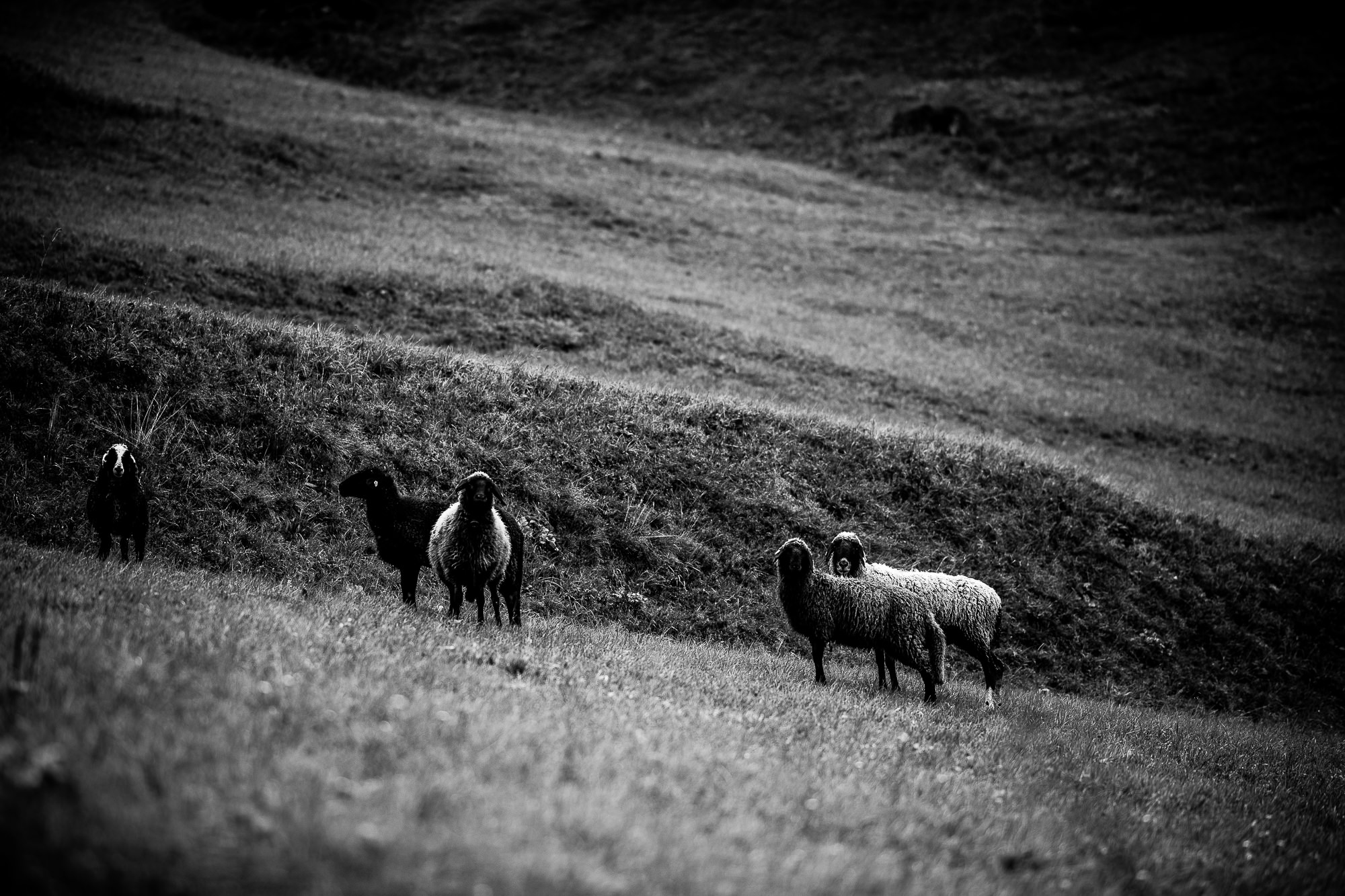 Export x3 1DX23872 Fotoshooting 2018 Annette & Mike Nauders 3